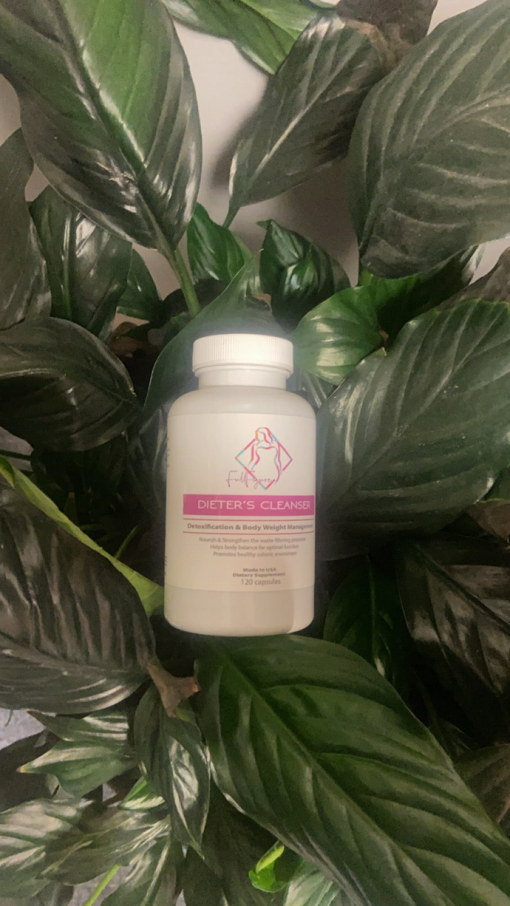 Dieter’s Cleanse